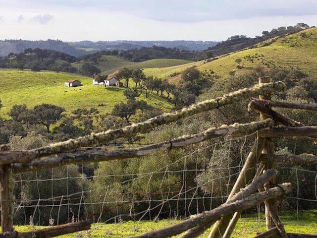 Monte Da Gravita Ribeira do Salto Exterior photo